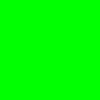 Gruenes Bild